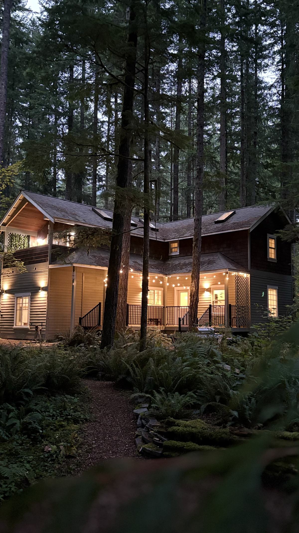The two-story cabin at dusk among very tall firs, windows glowing and string lights along the porch, with a path through sword ferns in the foreground